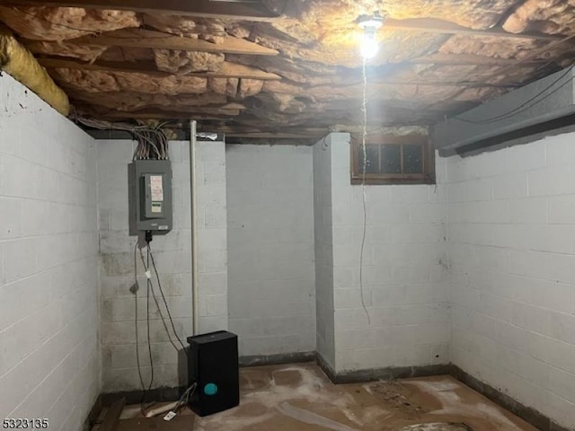 basement featuring electric panel