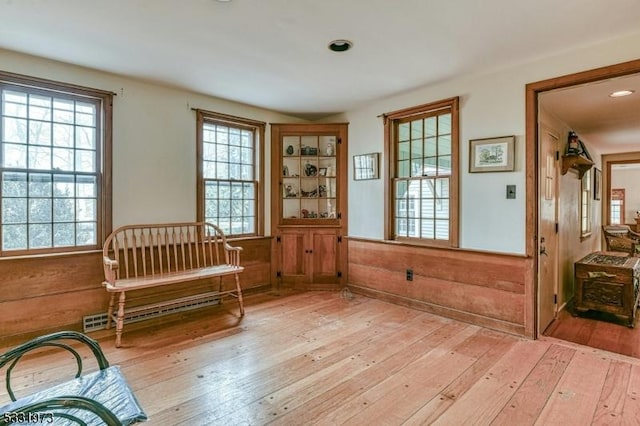 living area featuring light hardwood / wood-style floors and wooden walls