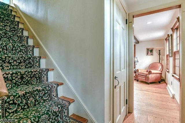 staircase featuring hardwood / wood-style floors