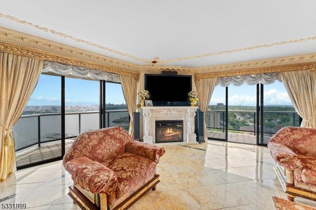 living room featuring a premium fireplace