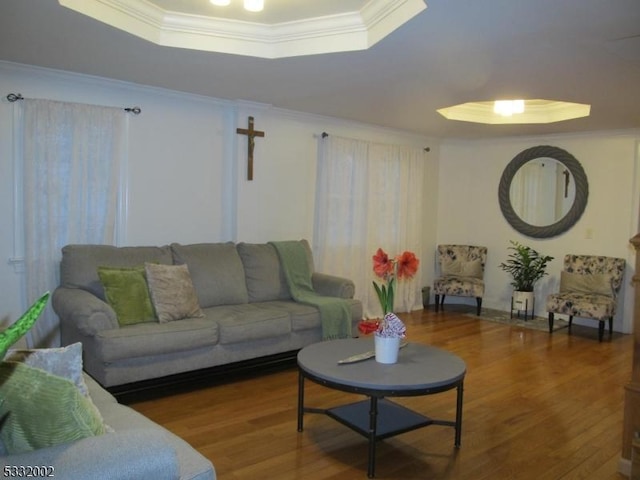 living room featuring wood-type flooring, crown molding, and a tray ceiling