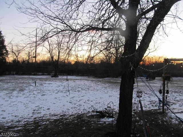 view of snowy yard