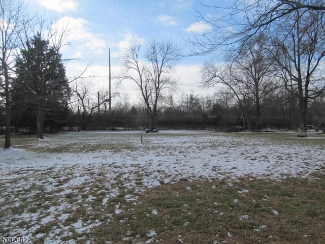 view of yard covered in snow