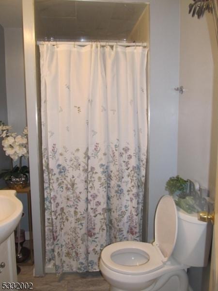 bathroom with hardwood / wood-style flooring, vanity, toilet, and a shower with shower curtain