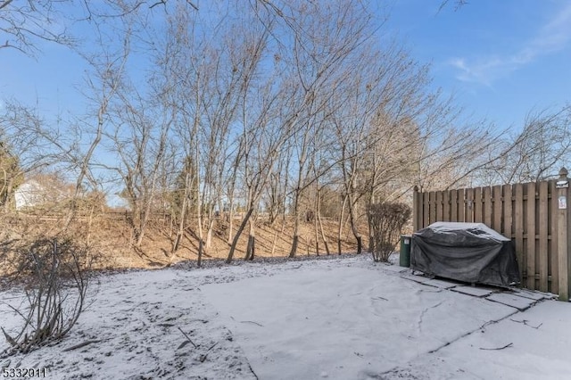 view of yard layered in snow