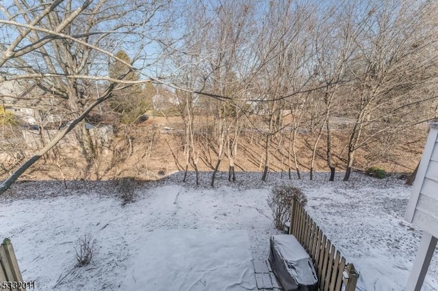 view of yard layered in snow