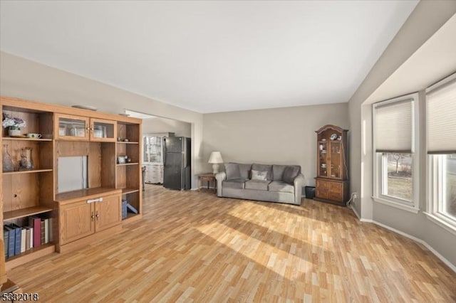 living room featuring light hardwood / wood-style flooring