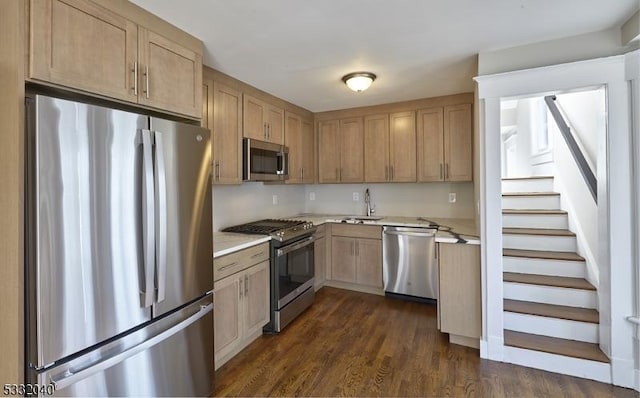 kitchen with light brown cabinetry, sink, dark wood-type flooring, and appliances with stainless steel finishes