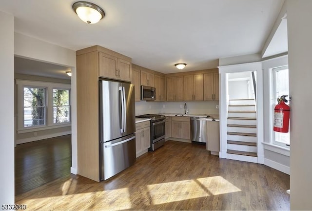 kitchen featuring sink, dark wood-type flooring, and appliances with stainless steel finishes