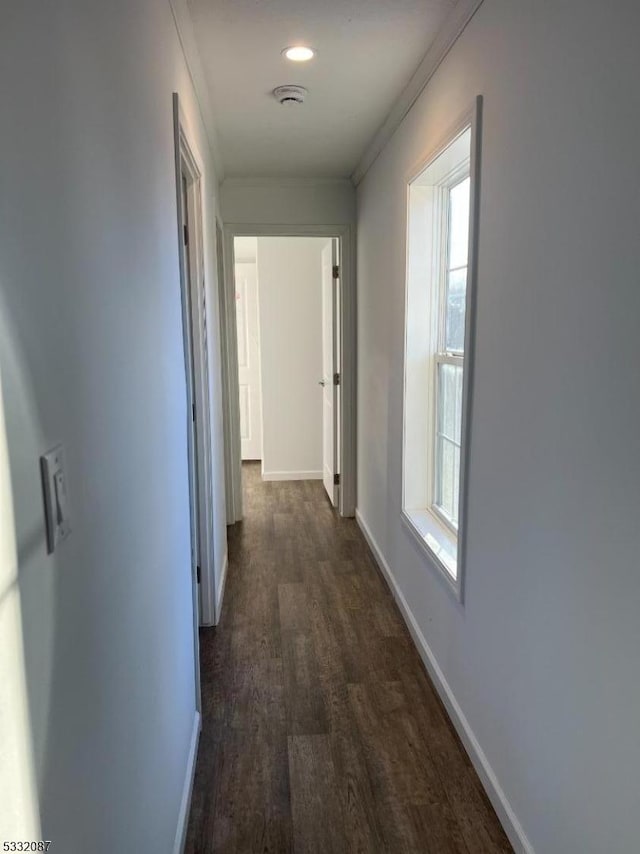 hallway featuring dark hardwood / wood-style floors and ornamental molding