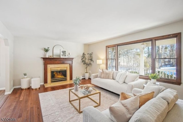 living room with a baseboard radiator and wood-type flooring