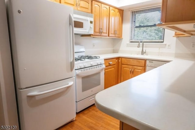 kitchen featuring white appliances, light wood-type flooring, light brown cabinetry, and sink