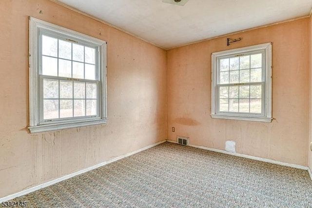 carpeted empty room with plenty of natural light