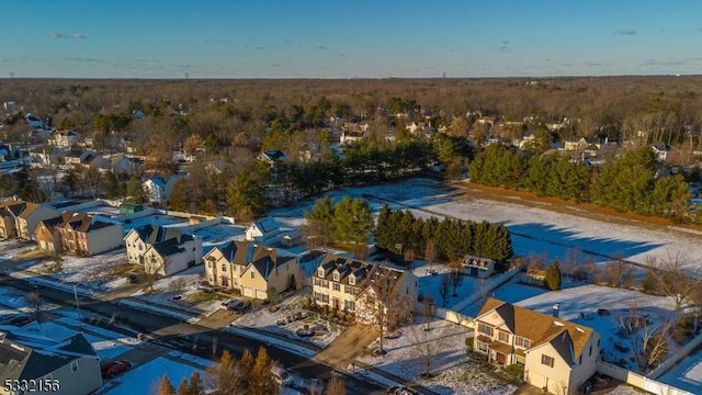 bird's eye view