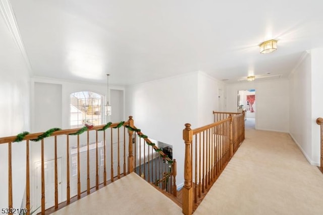 hall with a chandelier, crown molding, and light carpet