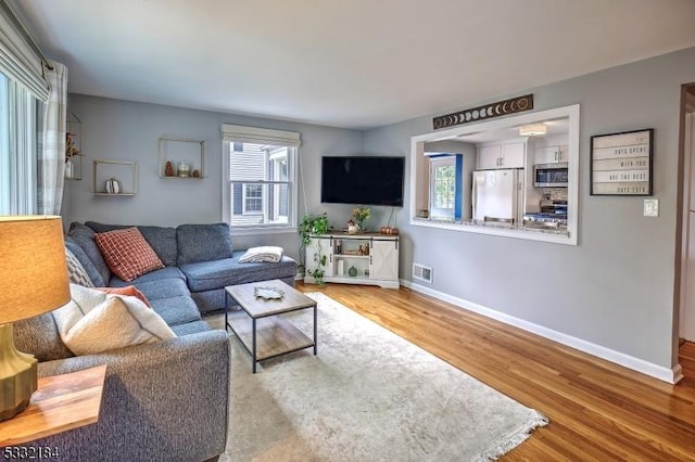 living room with wood-type flooring