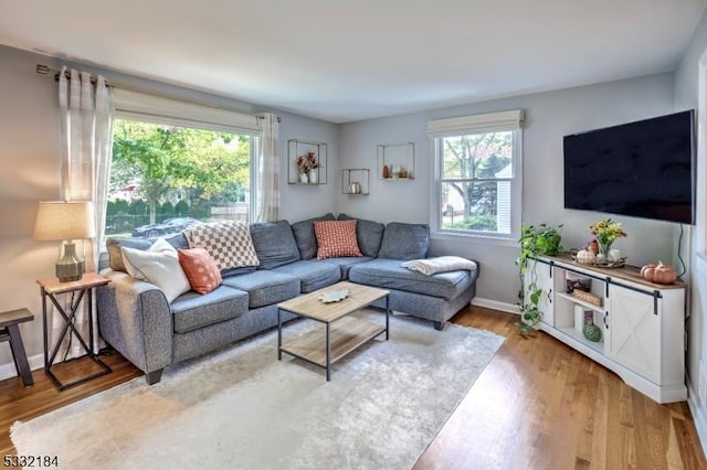 living room with hardwood / wood-style floors