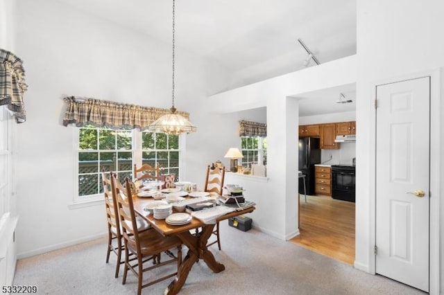 view of carpeted dining room