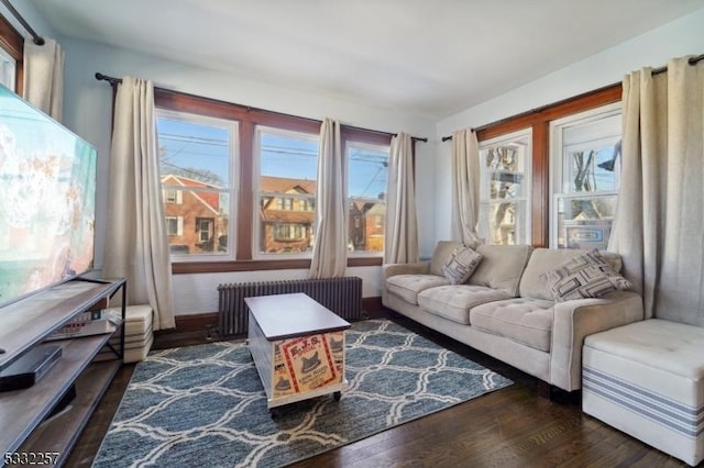 living room featuring radiator and dark hardwood / wood-style flooring