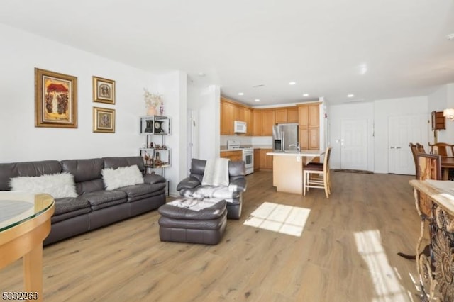 living room featuring light hardwood / wood-style flooring