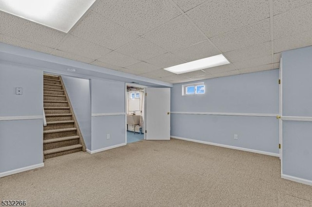 basement featuring a drop ceiling and carpet floors