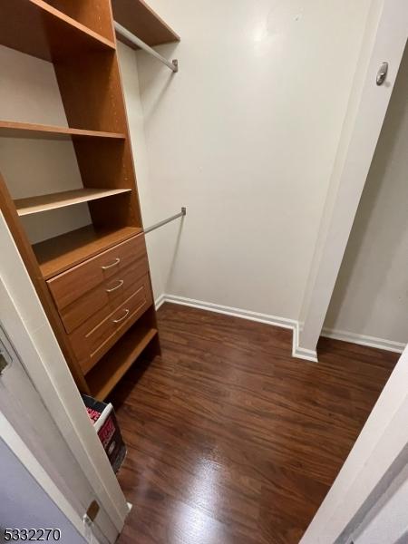 walk in closet with dark hardwood / wood-style flooring