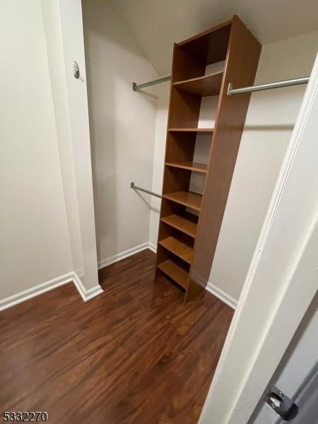 spacious closet with dark hardwood / wood-style flooring