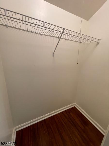 walk in closet with wood-type flooring