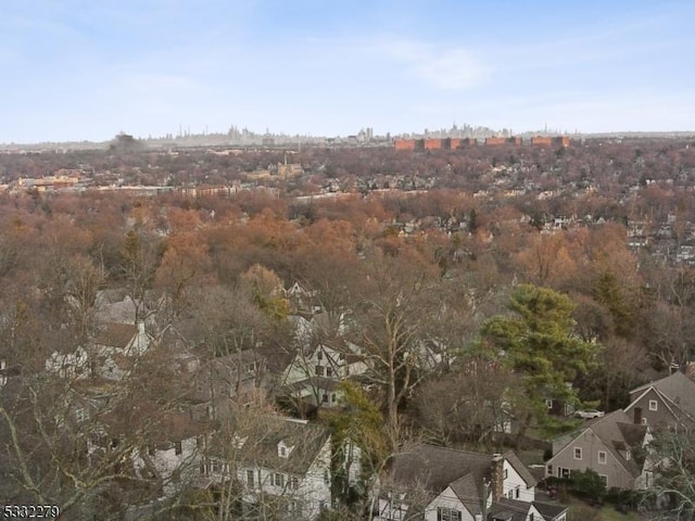 view of local wilderness