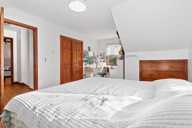 bedroom featuring light wood-type flooring and a closet