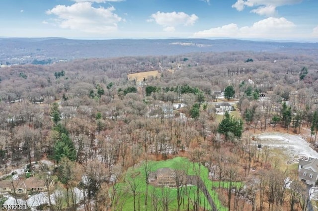 drone / aerial view featuring a mountain view