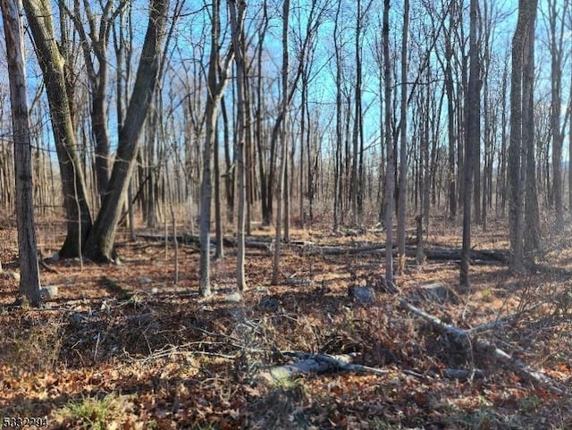 view of local wilderness