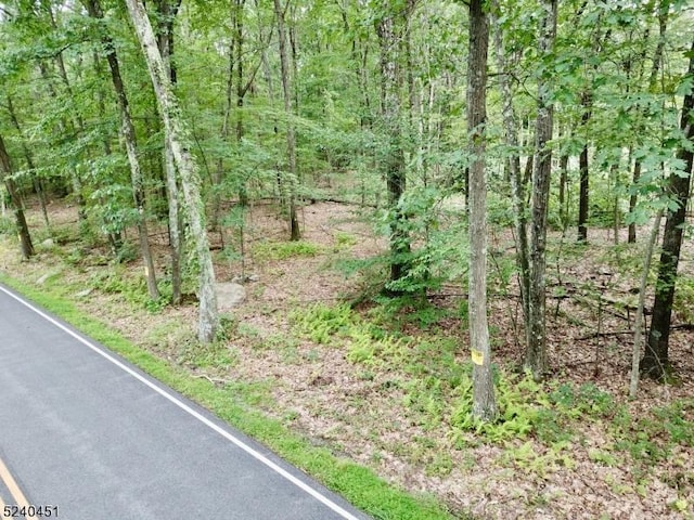 70 Ridge Rd, Frankford Twp NJ, 07826 land for sale