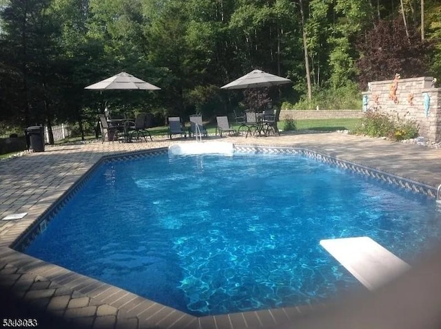 view of swimming pool featuring a diving board and a patio