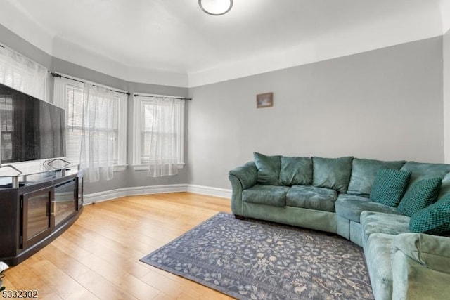 living room with wood-type flooring