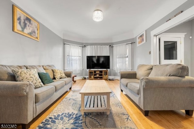 living room with light hardwood / wood-style flooring