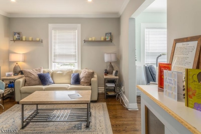 living room featuring dark hardwood / wood-style flooring and crown molding