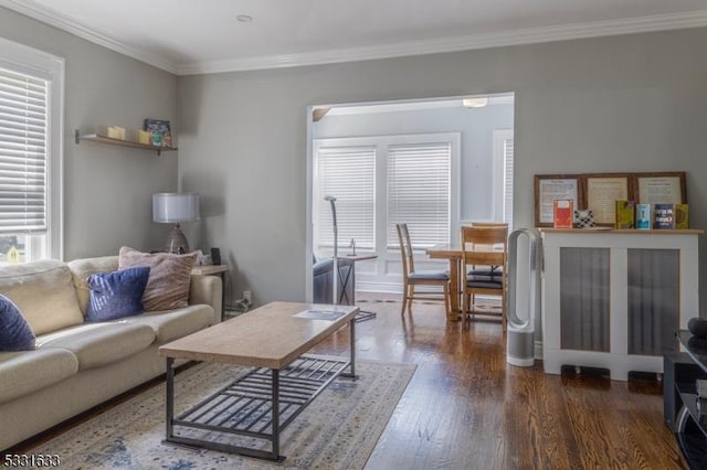 living room with dark hardwood / wood-style flooring, plenty of natural light, and ornamental molding