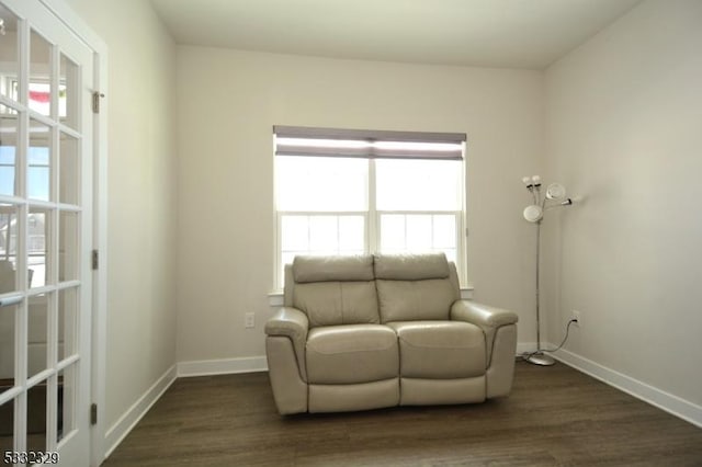 living area featuring plenty of natural light and dark hardwood / wood-style floors