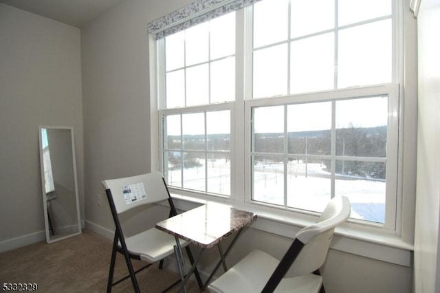 dining area featuring a wealth of natural light and carpet