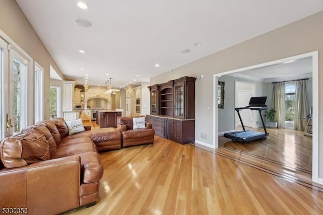 living room with light wood-type flooring and a healthy amount of sunlight