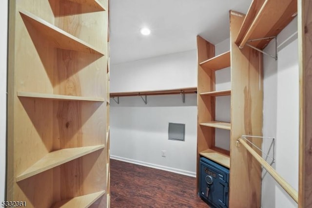 walk in closet featuring dark hardwood / wood-style flooring