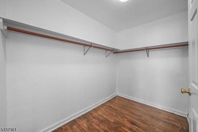 spacious closet with dark hardwood / wood-style floors