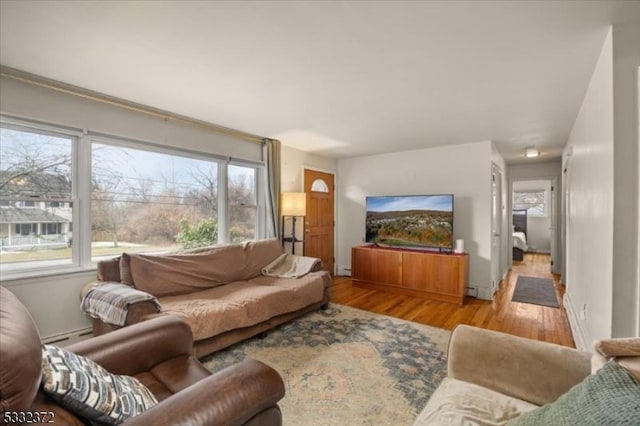 living room with light hardwood / wood-style flooring