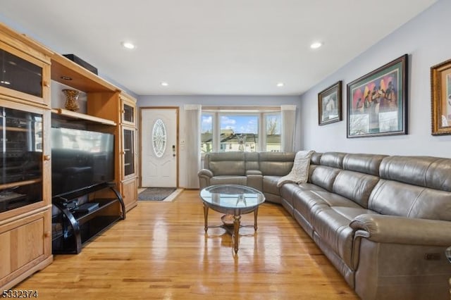 living room featuring light hardwood / wood-style flooring