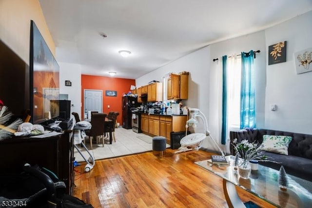 living room with light hardwood / wood-style floors