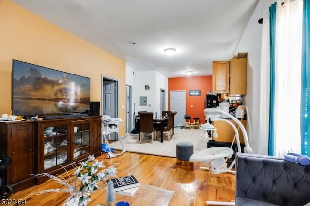 living room featuring light hardwood / wood-style floors