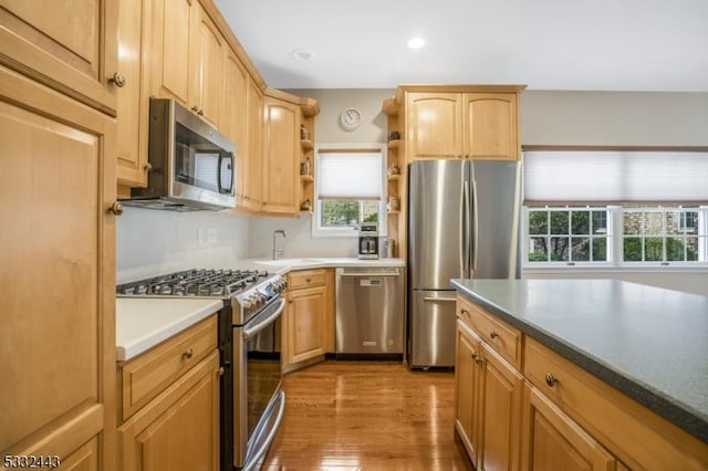 kitchen with light wood-type flooring, a healthy amount of sunlight, stainless steel appliances, and light brown cabinetry