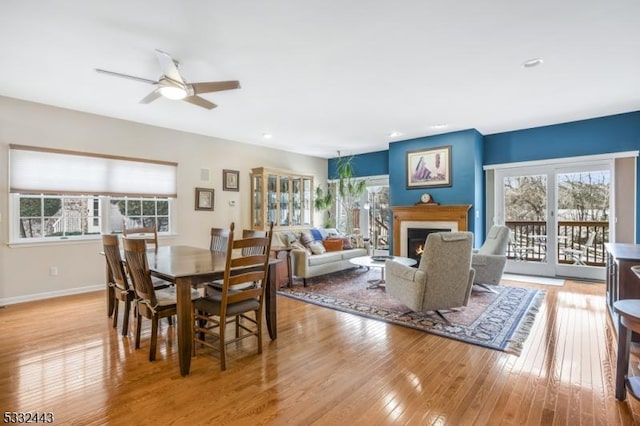 dining area with ceiling fan and light hardwood / wood-style flooring