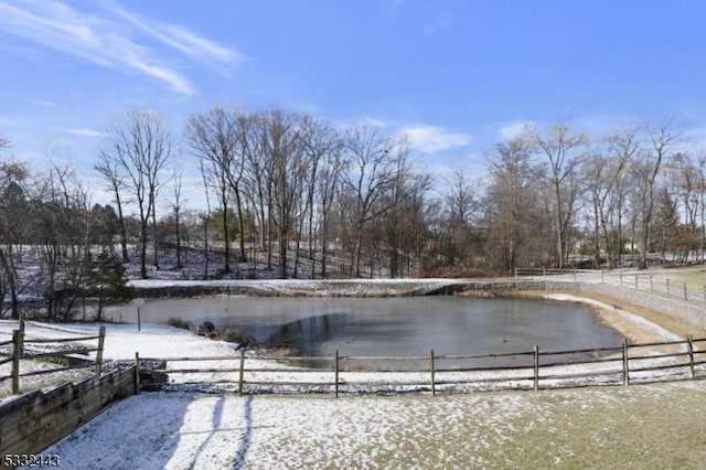 view of yard covered in snow